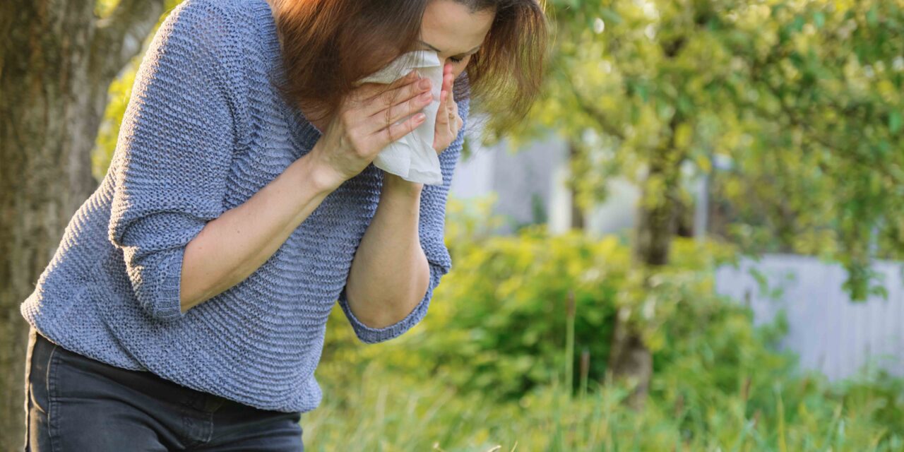 https://blog.workinpharma.fr/wp-content/uploads/2024/05/mature-woman-sneezing-in-handkerchief-allergy-to-2023-11-27-05-34-04-utc-1280x640.jpg